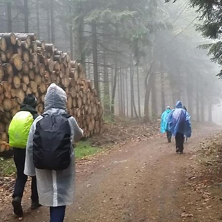 Urlaubsdomizil Am Toepfer - Ferienwohnungen In Olbersdorf 外观 照片