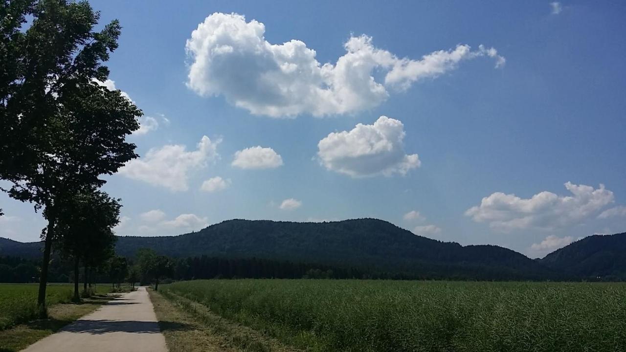 Urlaubsdomizil Am Toepfer - Ferienwohnungen In Olbersdorf 外观 照片