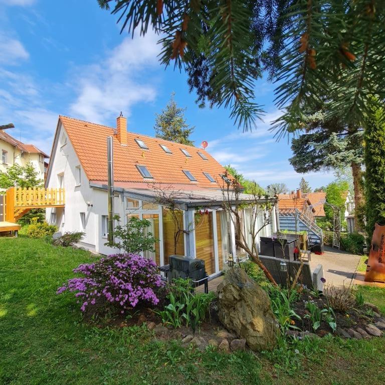 Urlaubsdomizil Am Toepfer - Ferienwohnungen In Olbersdorf 外观 照片